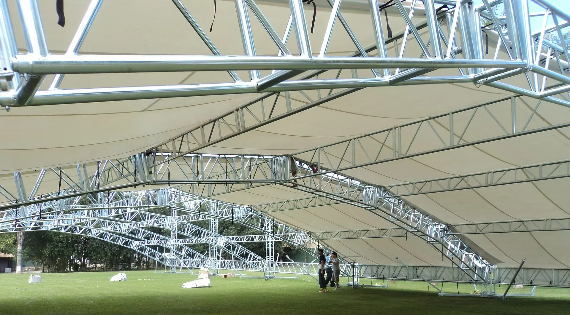 Megaestructura profesional